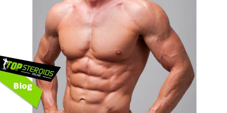 lean muscle