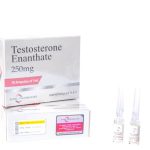 10 ml Ampere TESTOSTERONE__ENANTHATE