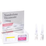 NANDROLONE_DECANOATE_250 mg