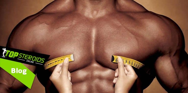 About Body Muscles