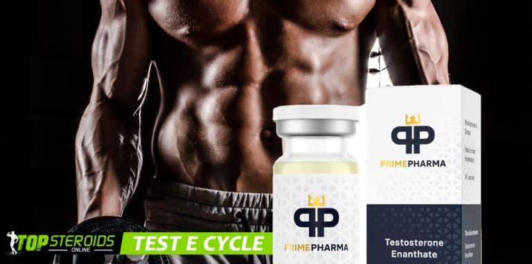 TOP blog test e cycle