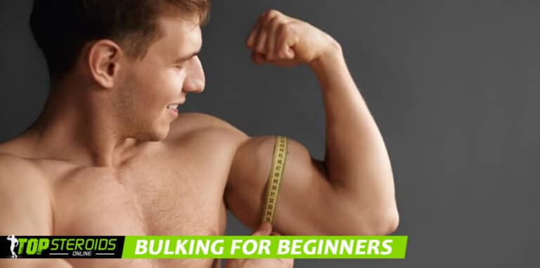 O MELHOR blog para iniciantes em bulking
