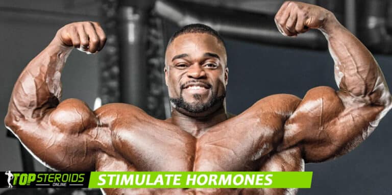 TOP Blog stimulieren Hormon
