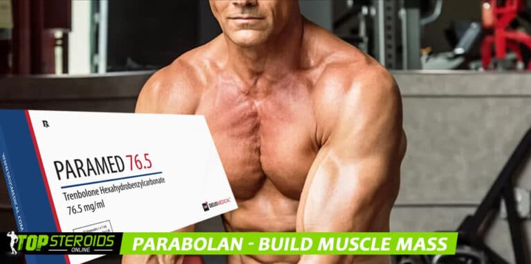 TOP blog parabolan build muscle mass