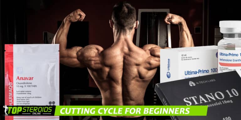 TOP blog cutting cycle for beginners