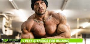 TOP blog 5 melhores esteróides para ganho de massa muscular em