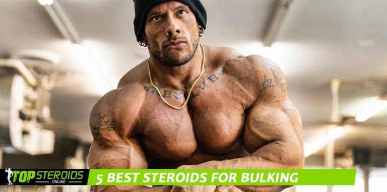 TOP blog 5 melhores esteróides para ganho de massa muscular em