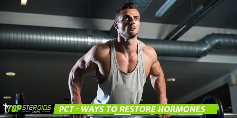TOP blog pct ways to restore hormone