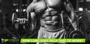 TOP blog como o deca funciona