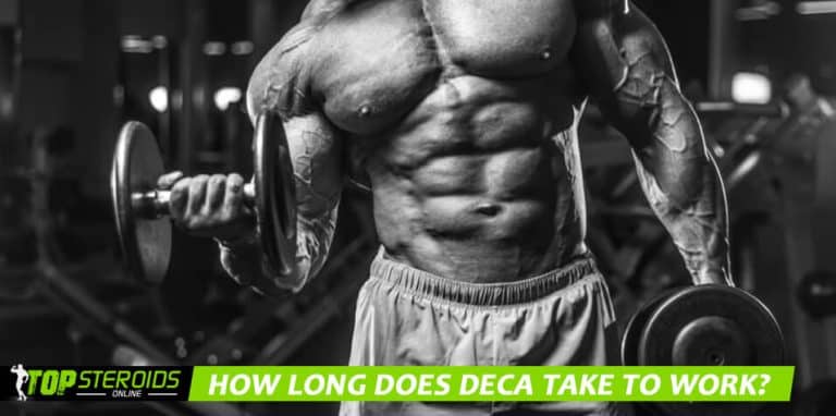 TOP blog como o deca funciona