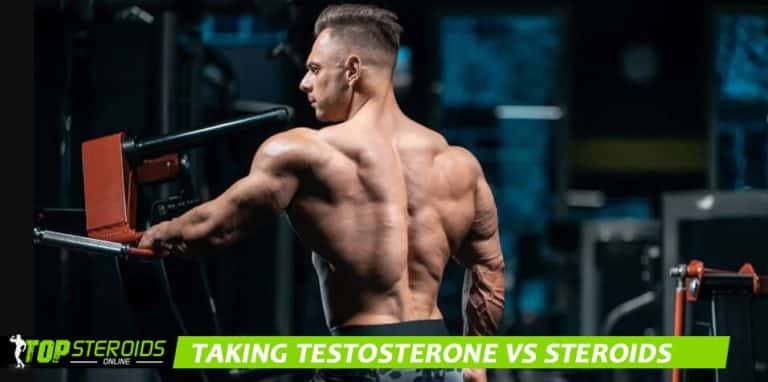 TOP blog sobre tomar testosterona vs. esteróides