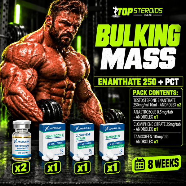 Pack prise de masse (INJECT) - ENANTHATE 250 + PCT (8 semaines) ANDROLEX