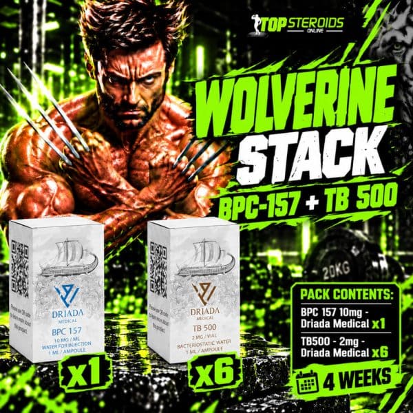 Pack Peptides Wolverine Stack débutant – BPC-157 + TB-500 – DRIADA (4 semaines)