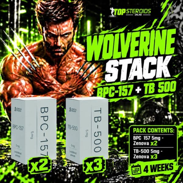 Pack Peptides Wolverine Stack débutant – BPC-157 + TB-500 – ZENOVA (4 semaines)