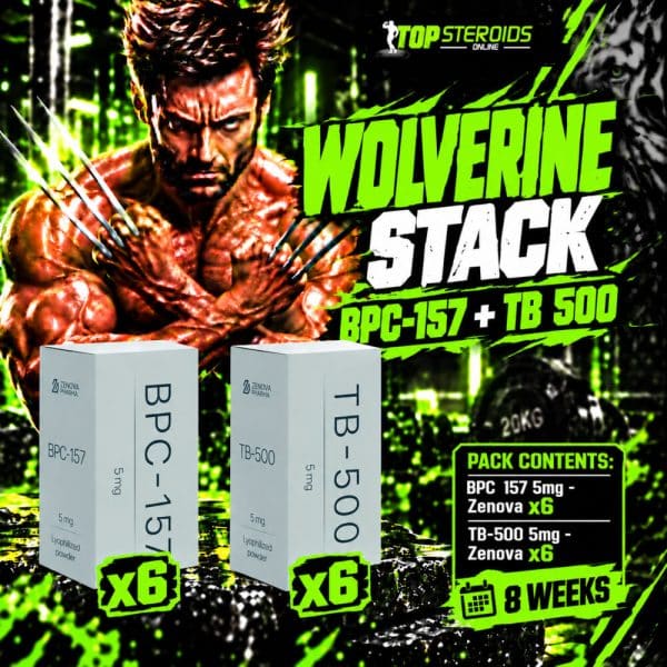 Pack Peptides Wolverine Stack Avancée – BPC-157 + TB-500 – ZENOVA (8 semaines)